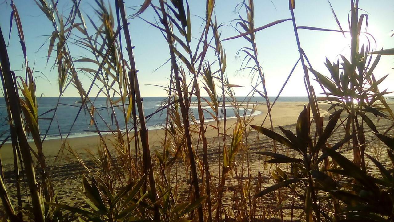 Hébergement de vacances El Mirador De La Desembocadura